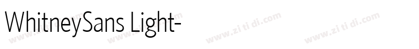 WhitneySans Light字体转换